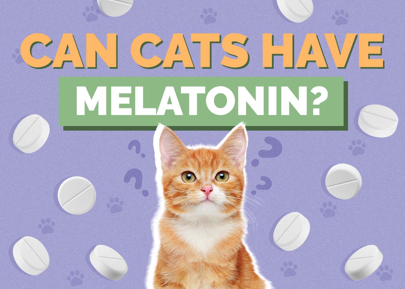 Can I Give My Cat Melatonin? Vet-Approved Facts