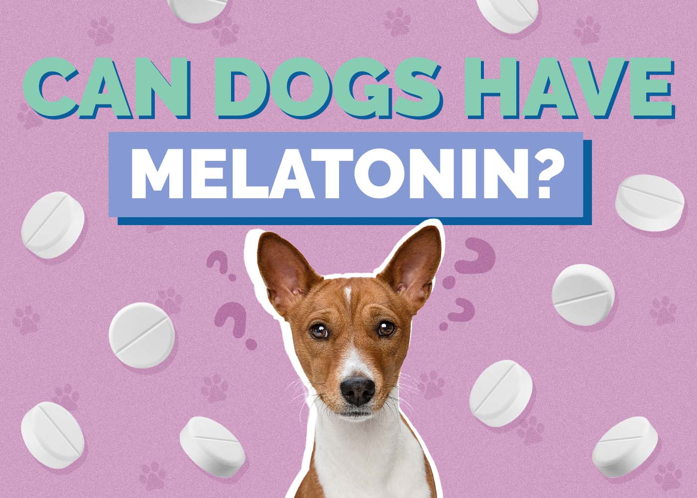 Can Dogs Have Melatonin & Is It Healthy? Vet Approved Facts & FAQ