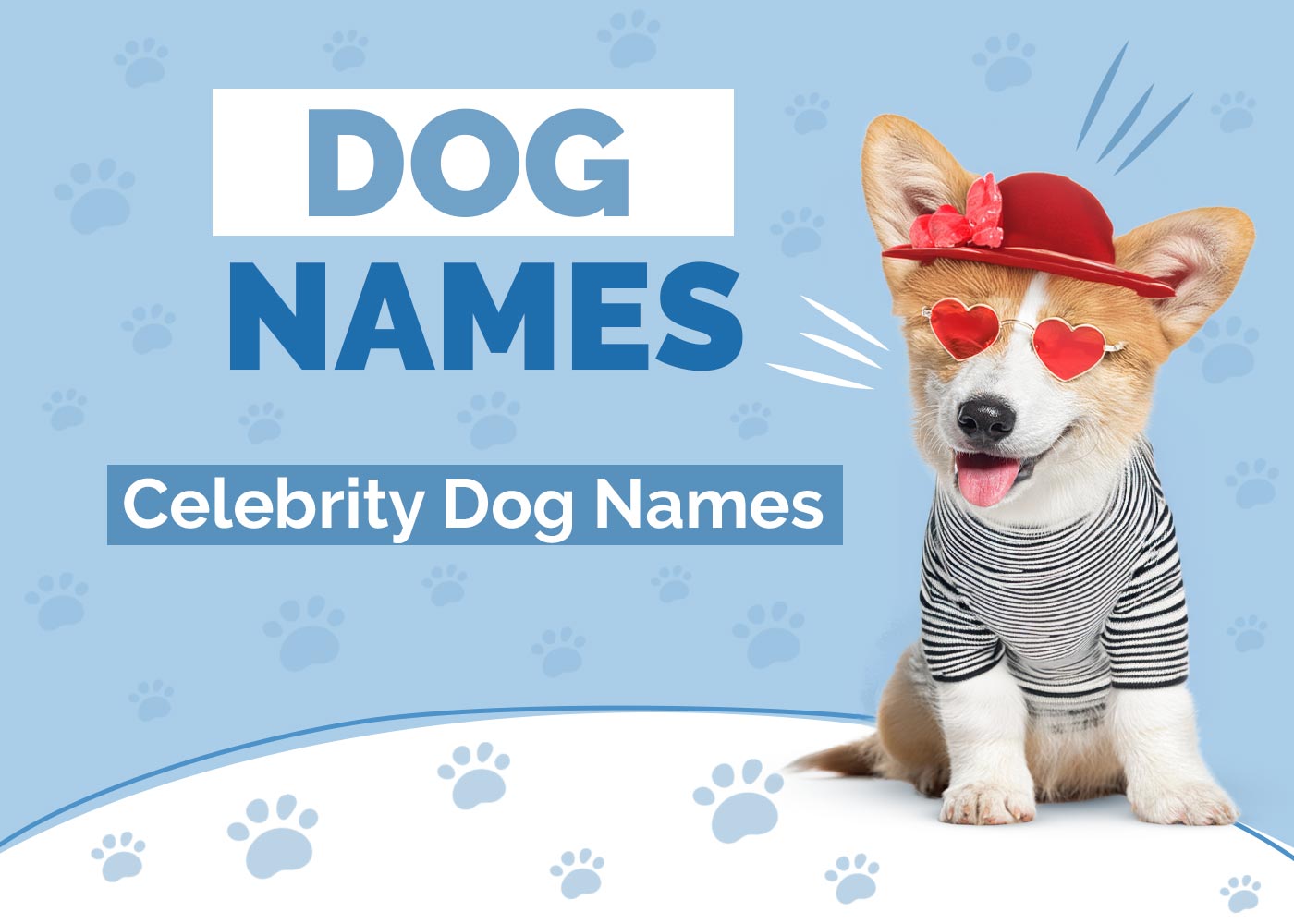 100+ Celebrity Dog Names: Ideas for Lavish & Luxurious Dogs