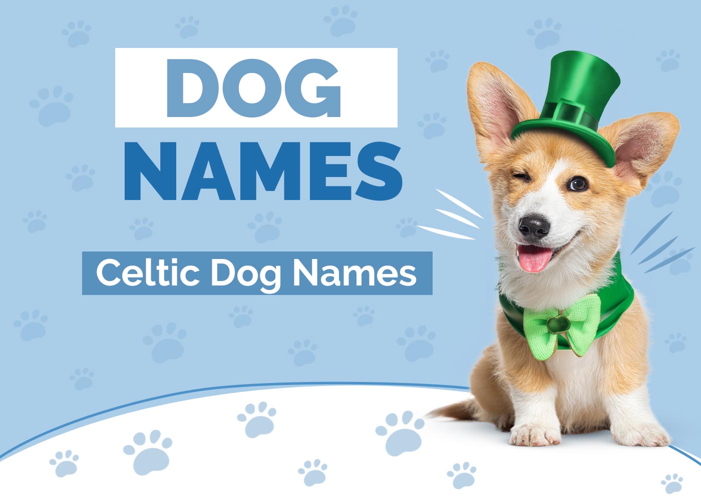 100+ Celtic Dog Names: Traditional & Gaelic Ideas