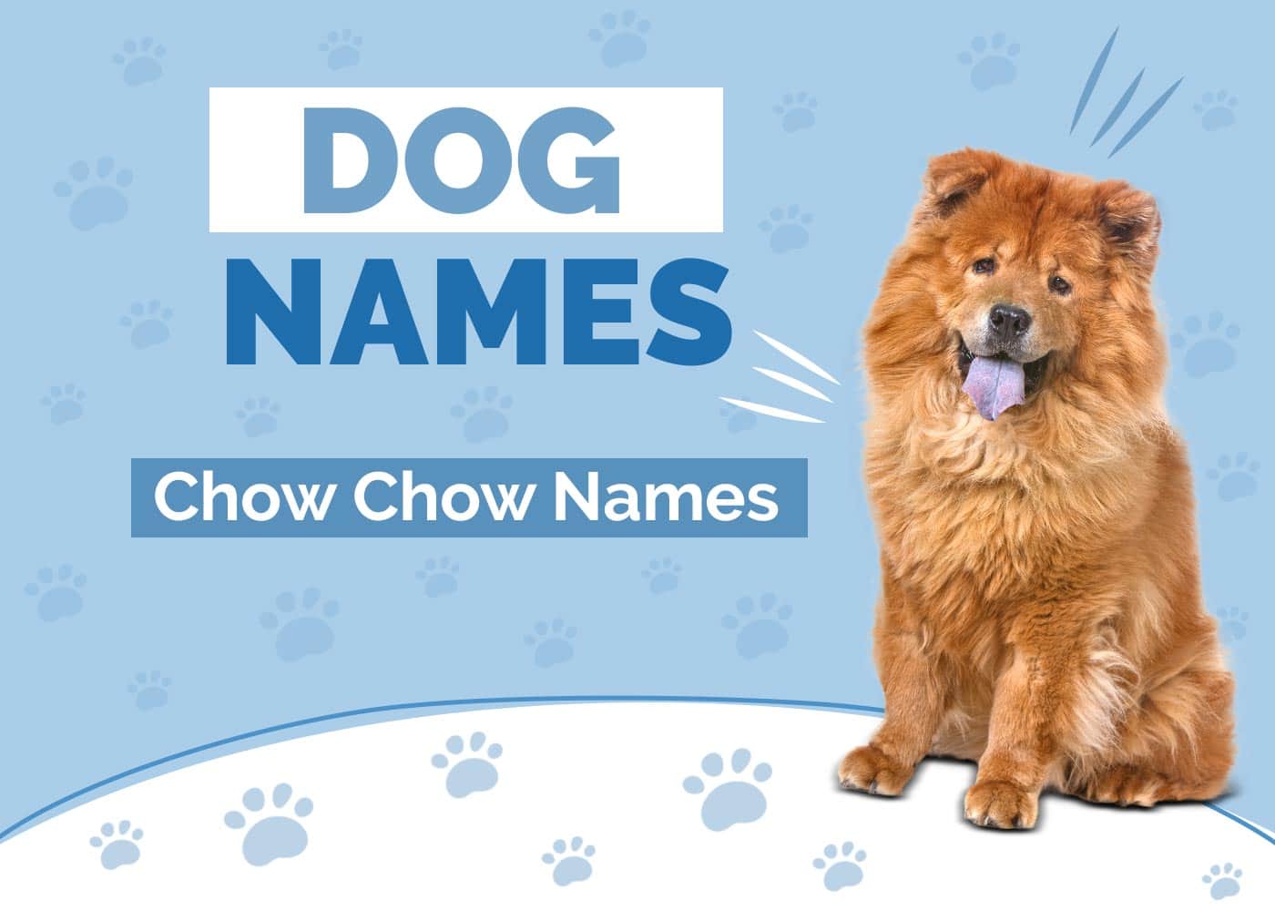 100+ Chow Chow Names: Ideas for Fluffy & Comforting Dogs