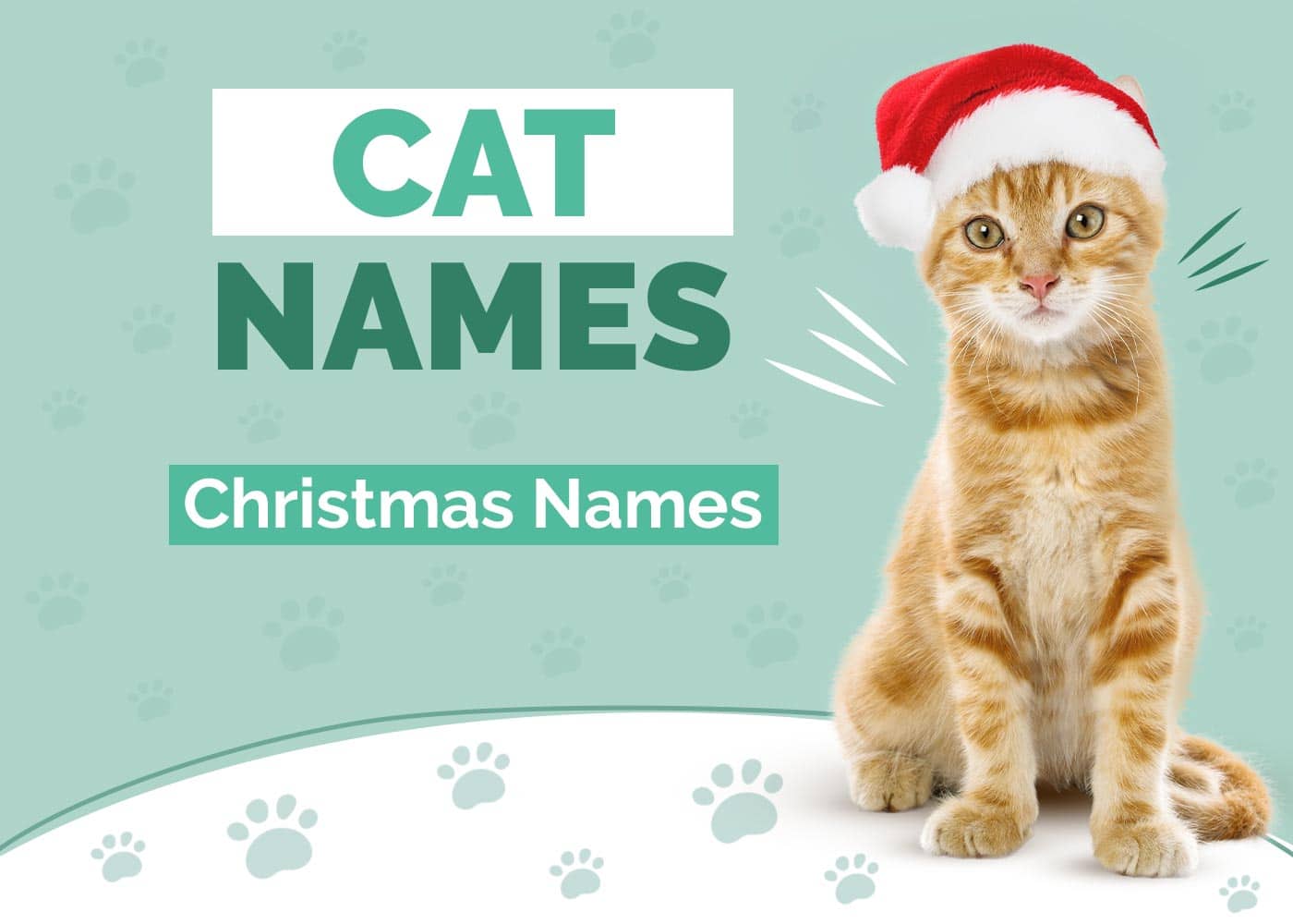 200 Adorable Christmas Names For Cats: Ideas for Festive Felines