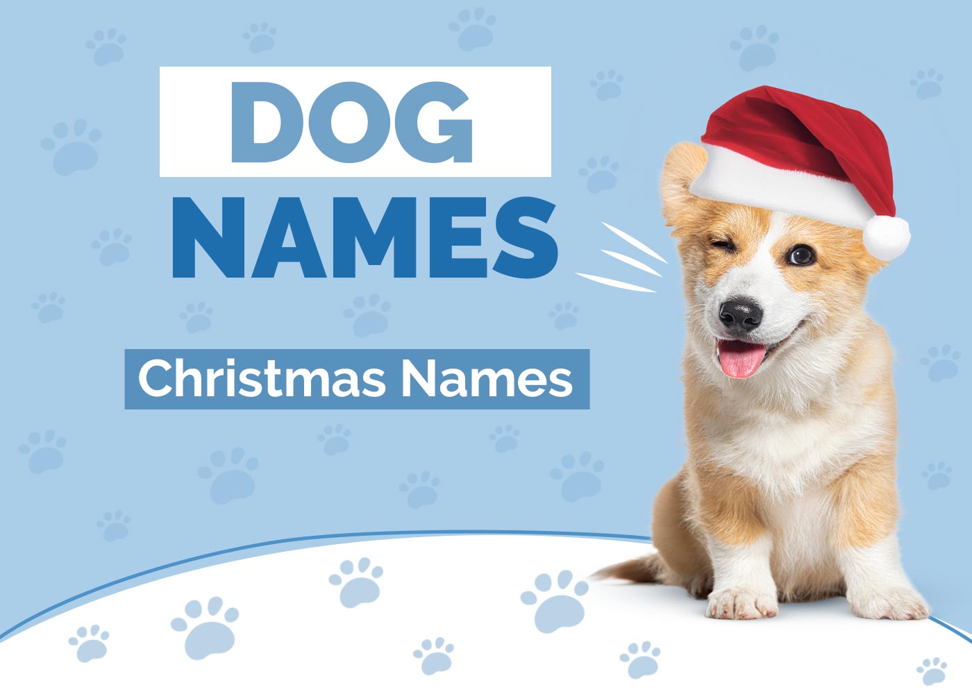 150+ Adorable Christmas Names for Dogs: Ideas for Festive Canines