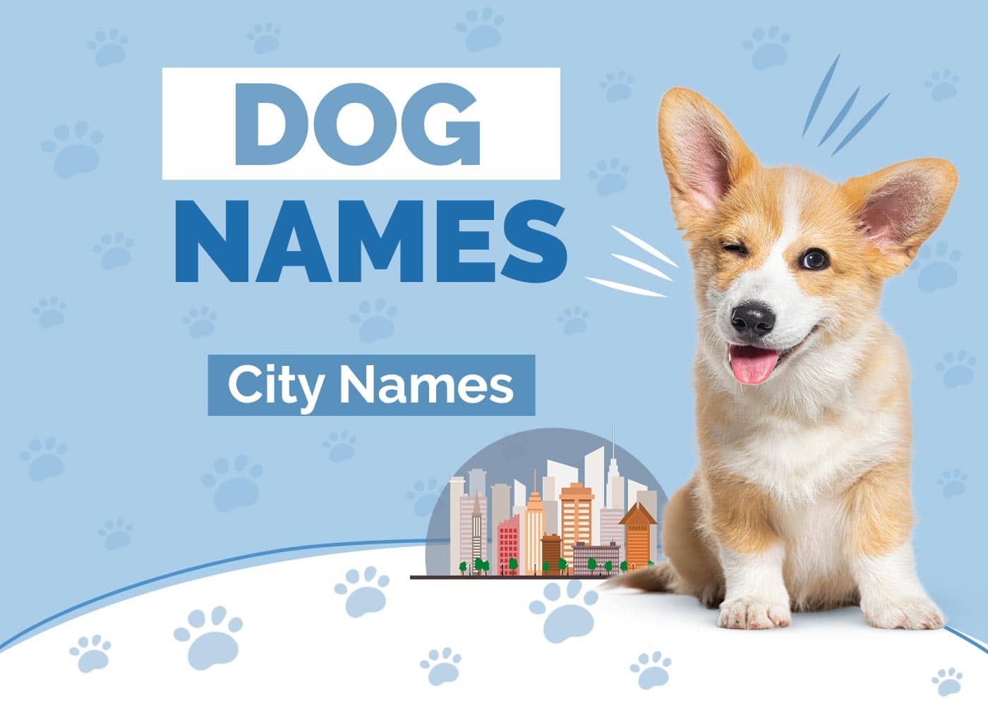 100+ City Dog Names: Geography Inspired Ideas for Pups
