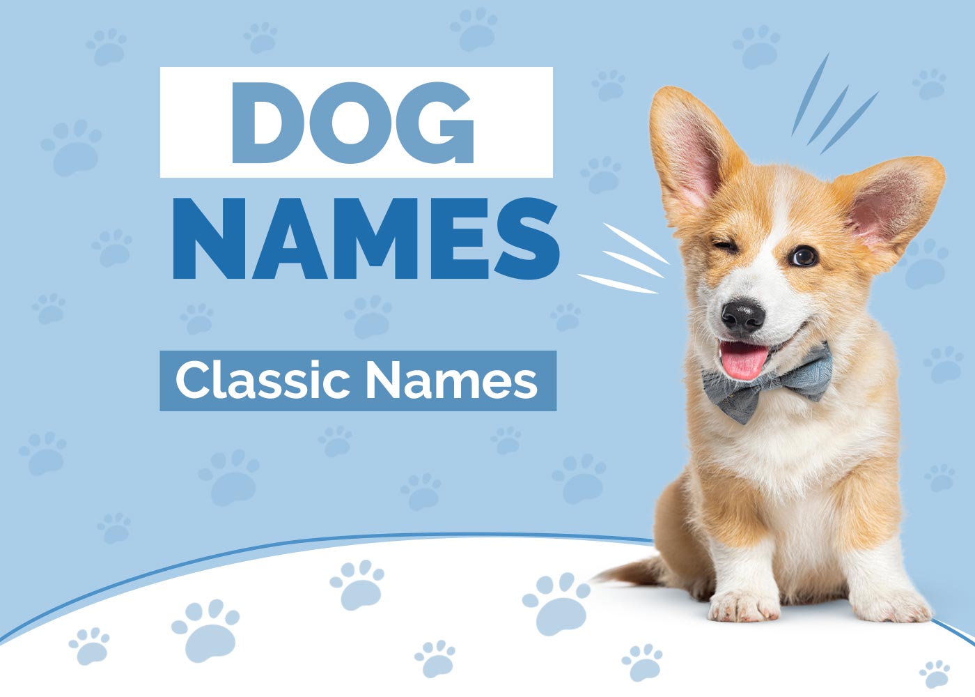 100+ Classic Dog Names: Timeless, Vintage & Old Fashioned Ideas