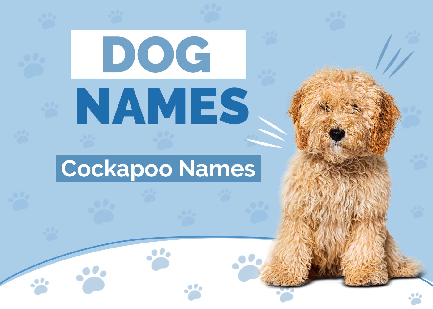 100+ Cockapoo Names: Ideas for Fluffy & Playful Dogs