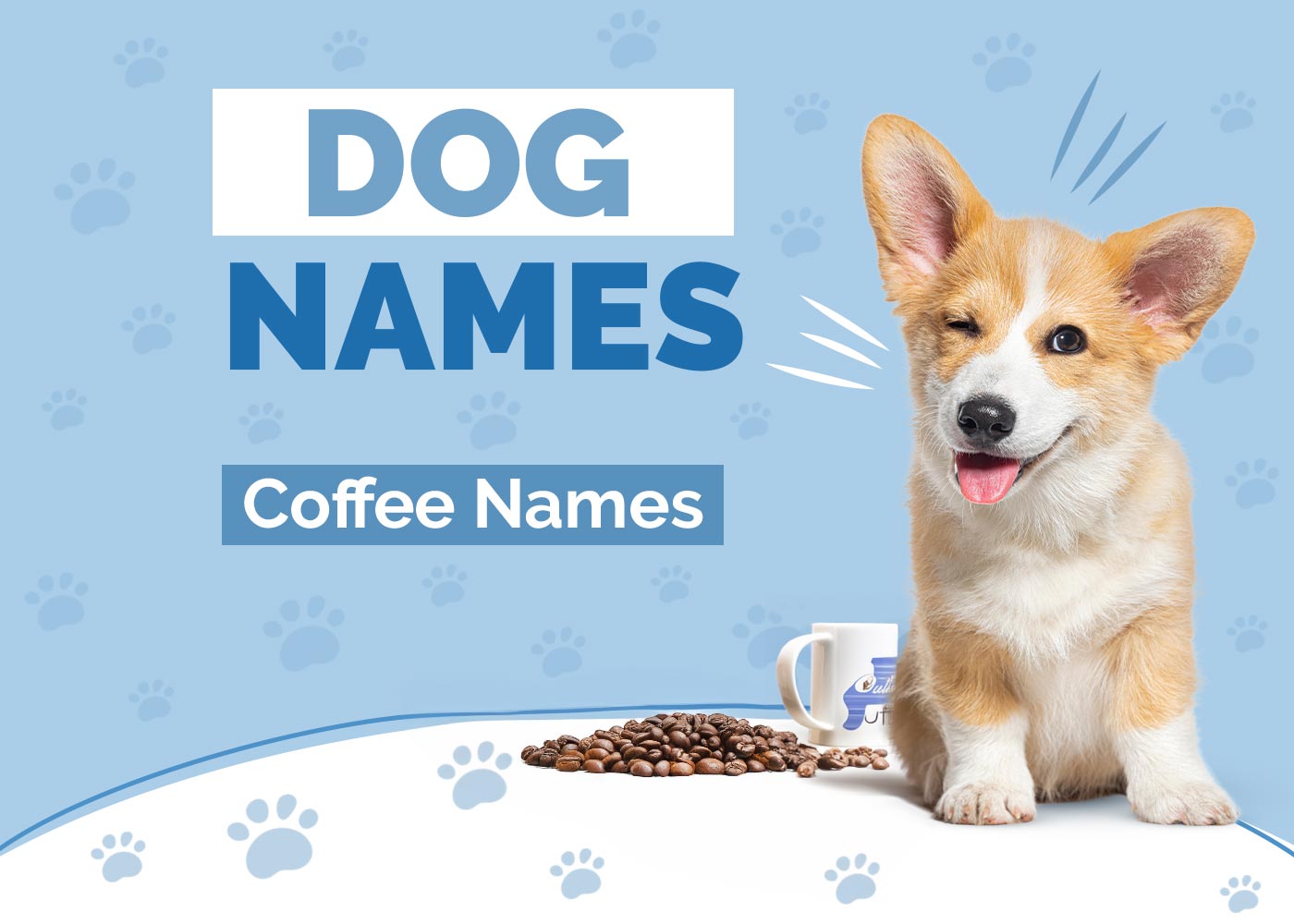 52 Coffee Dog Names: Unique Options For Your Pup