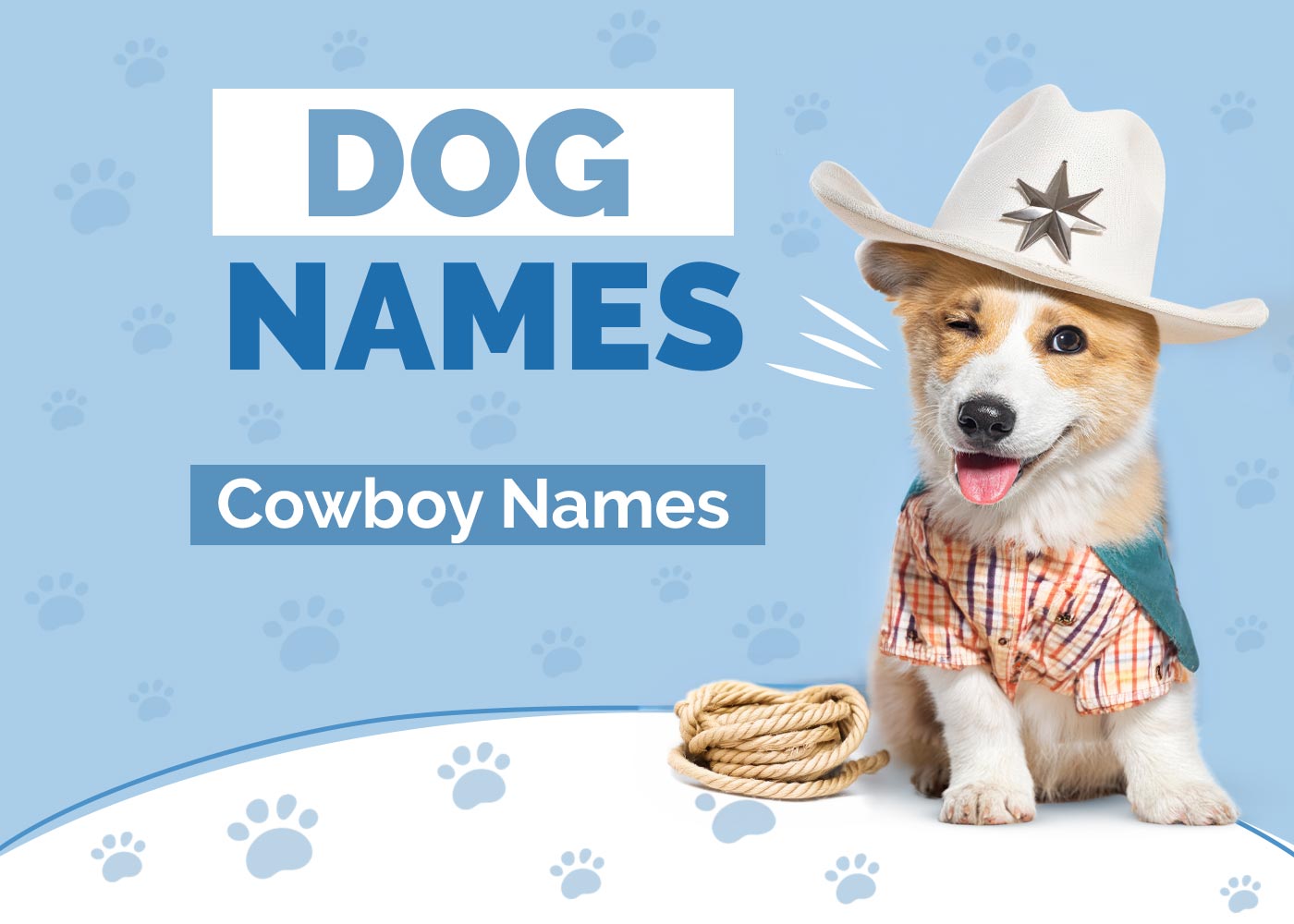 300+ Western Dog Names: Southern, Cowboy & Country Ideas