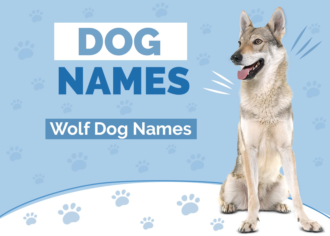 100+ Wolf Dog Names: Ideas for Wild & Fierce Dogs