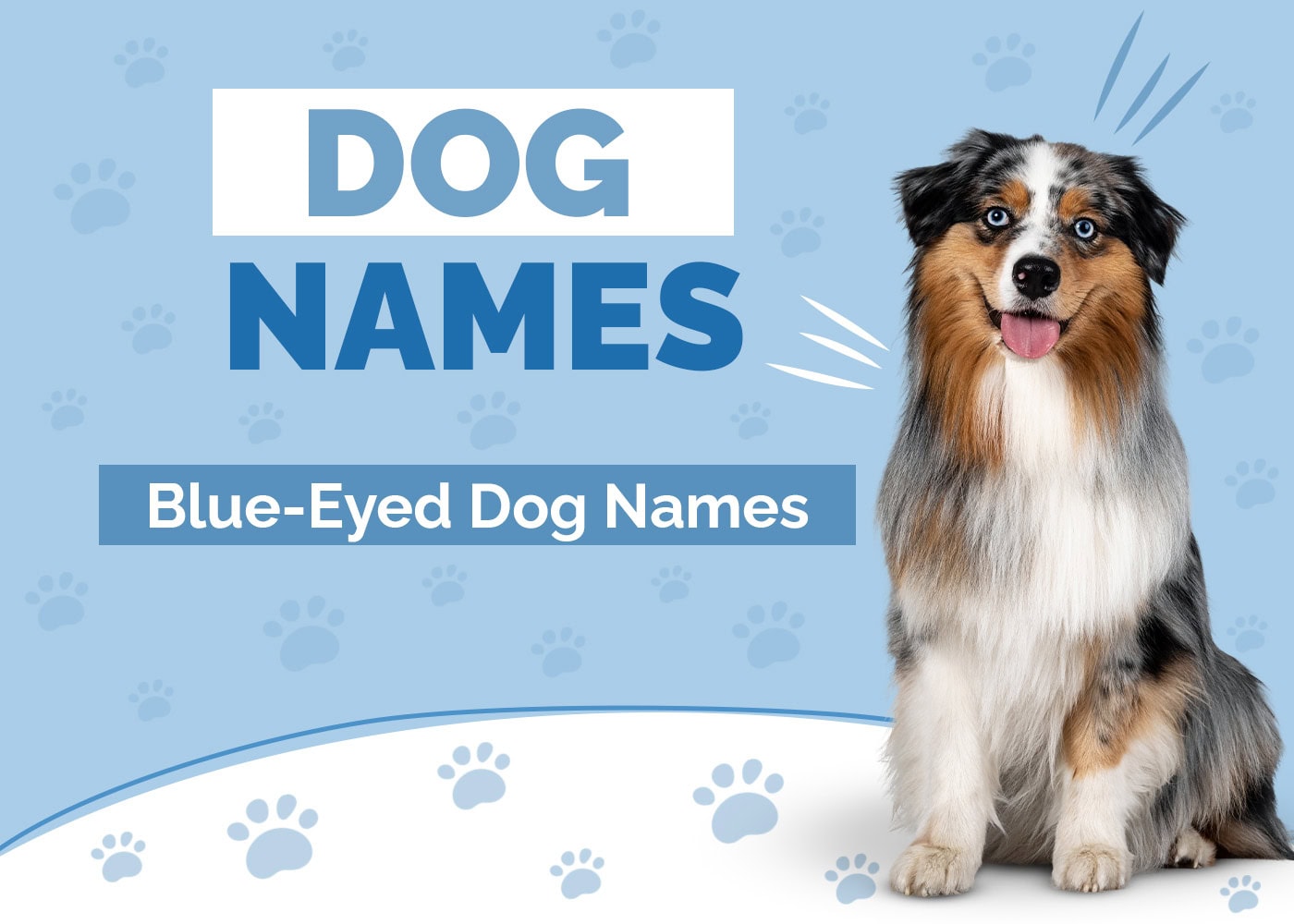 60 Names for Dogs With Blue Eyes: Ideas to Match Your Pup's Looks