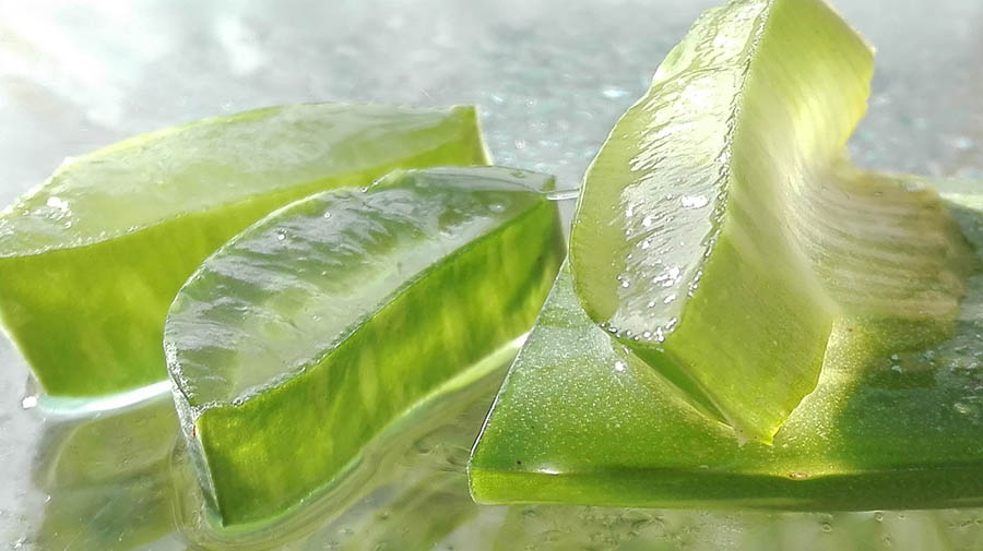 aloe vara cuts