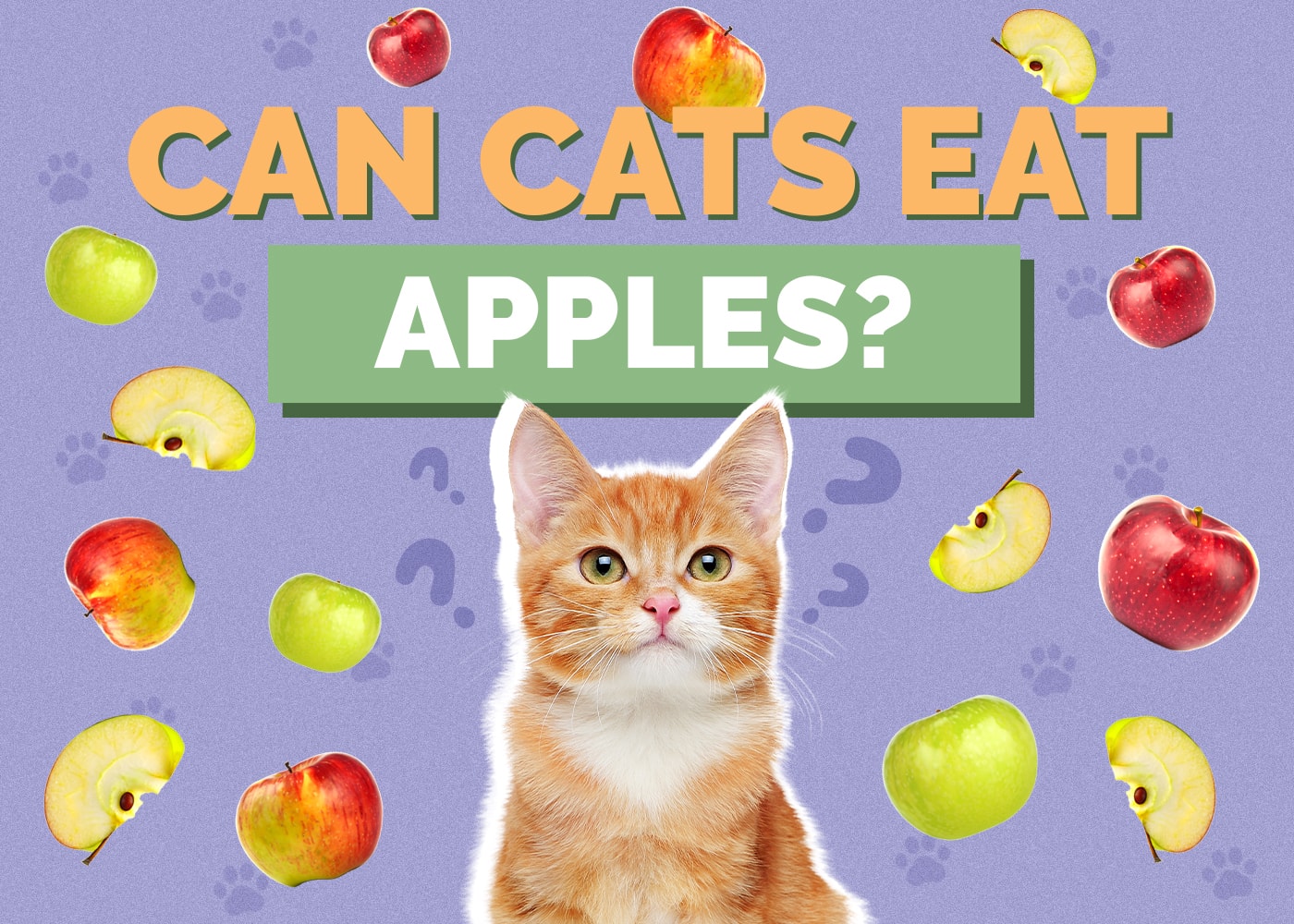 Can Cats Eat Apples? Vet-Reviewed Facts & Alternative Options