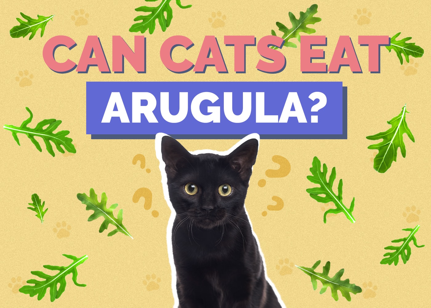 Can Cats Eat Arugula? Vet-Reviewed Health & Safety Guide
