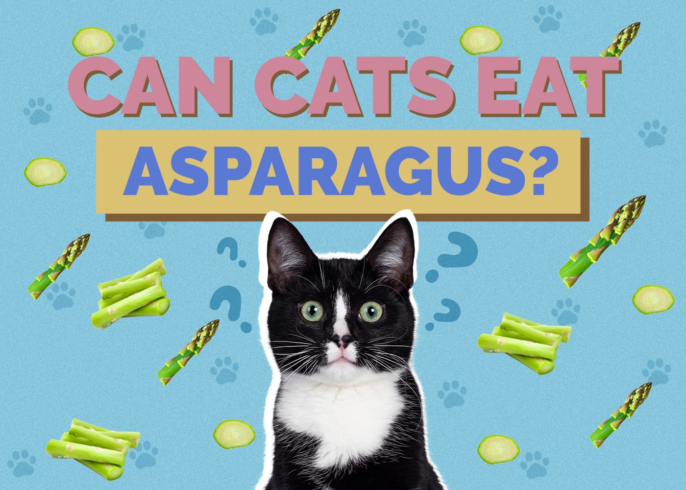 Can Cats Eat Asparagus? Vet-Reviewed Facts