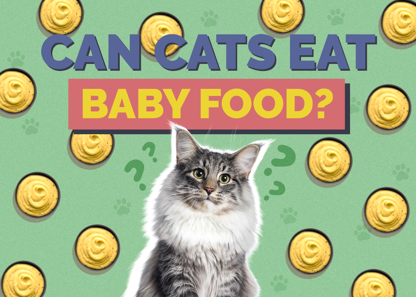 Can Cats Eat Baby Food? Vet-Verified Facts & Safety Guidelines