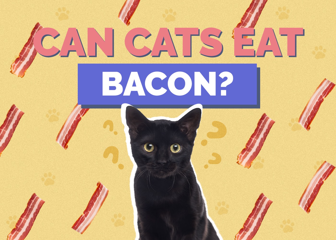 Can Cats Eat Bacon? Vet-Reviewed Facts & Safety Guide