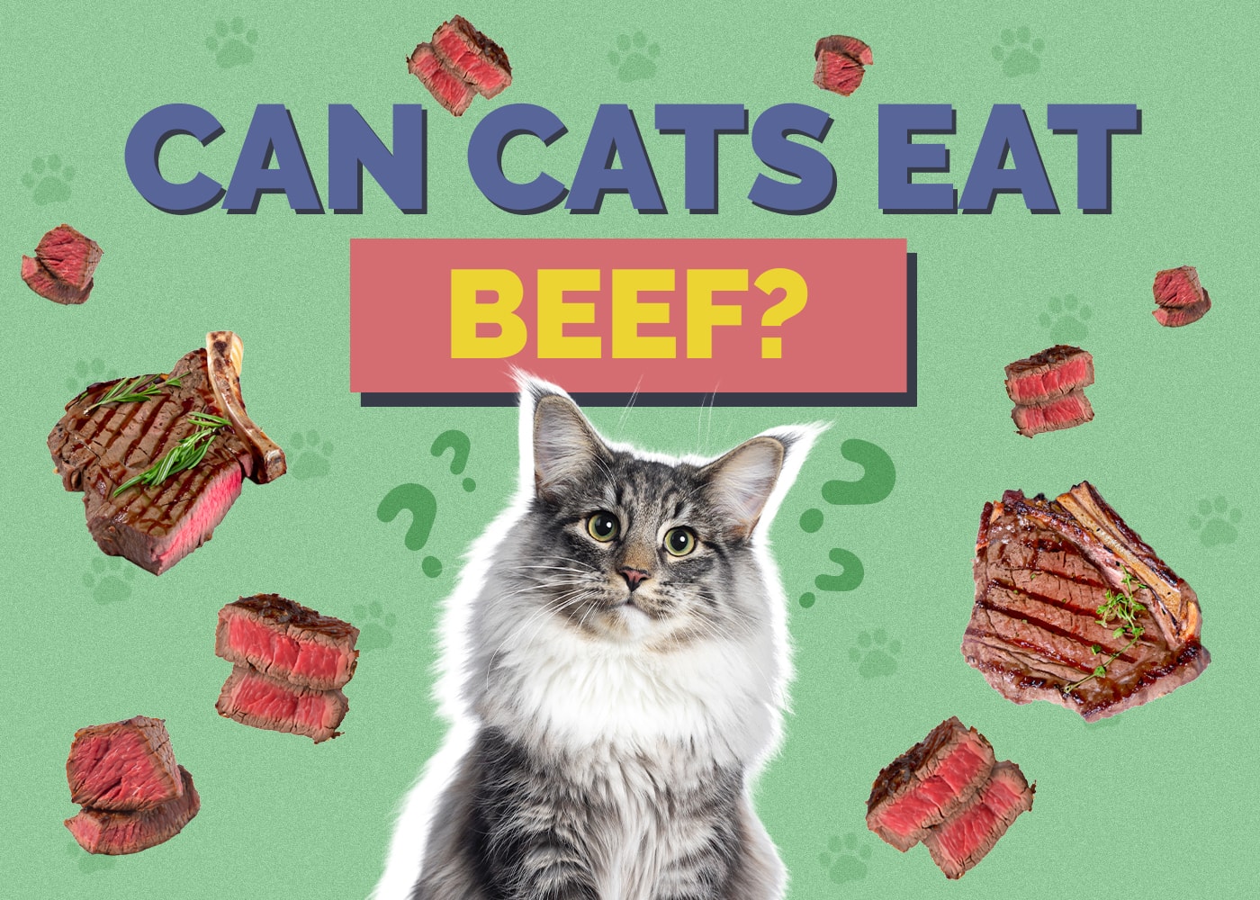 Can Cats Eat Beef? Vet-Reviewed Nutrition Facts & FAQ