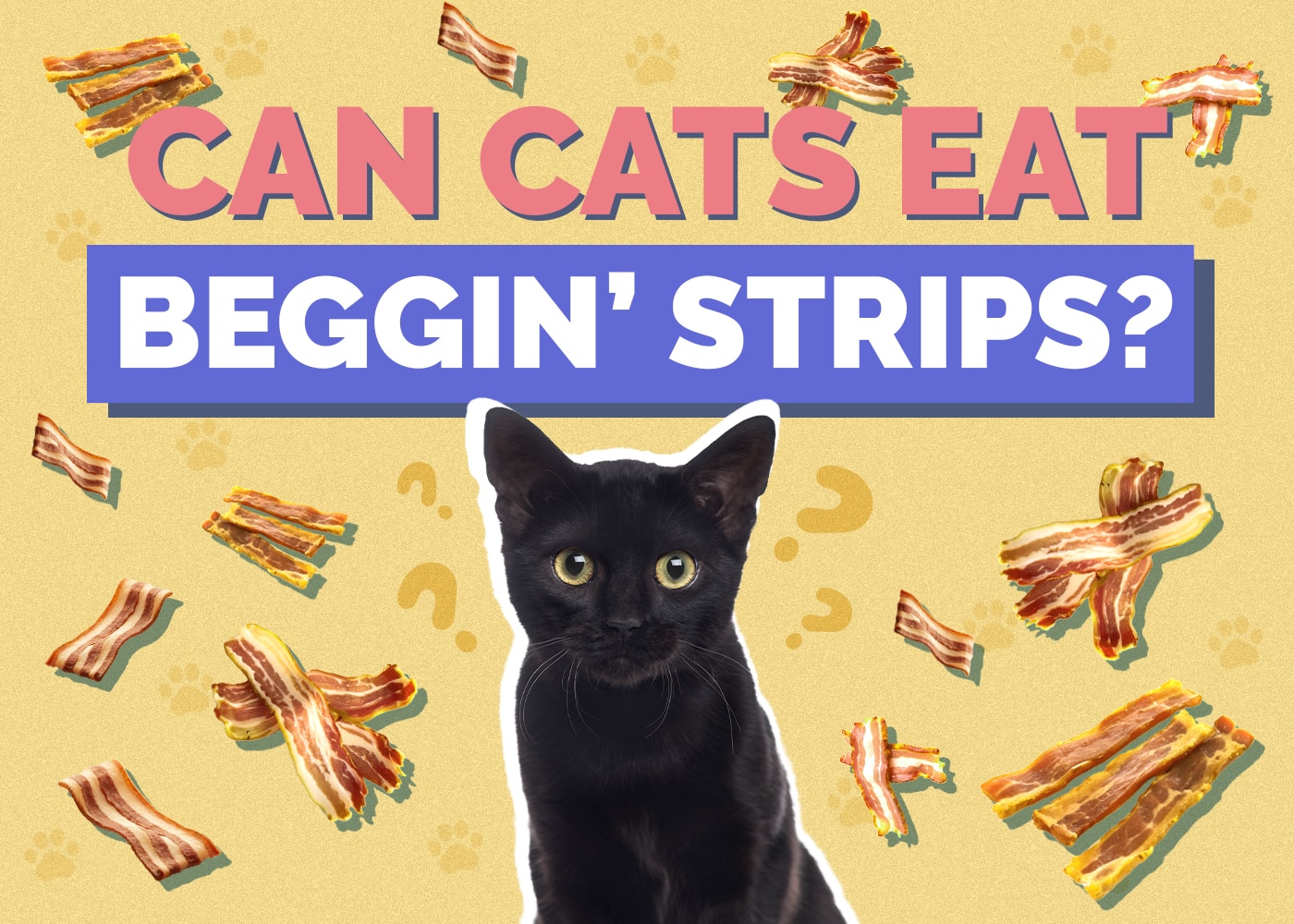 Can Cats Eat Beggin’ Strips? Risks & Alternatives