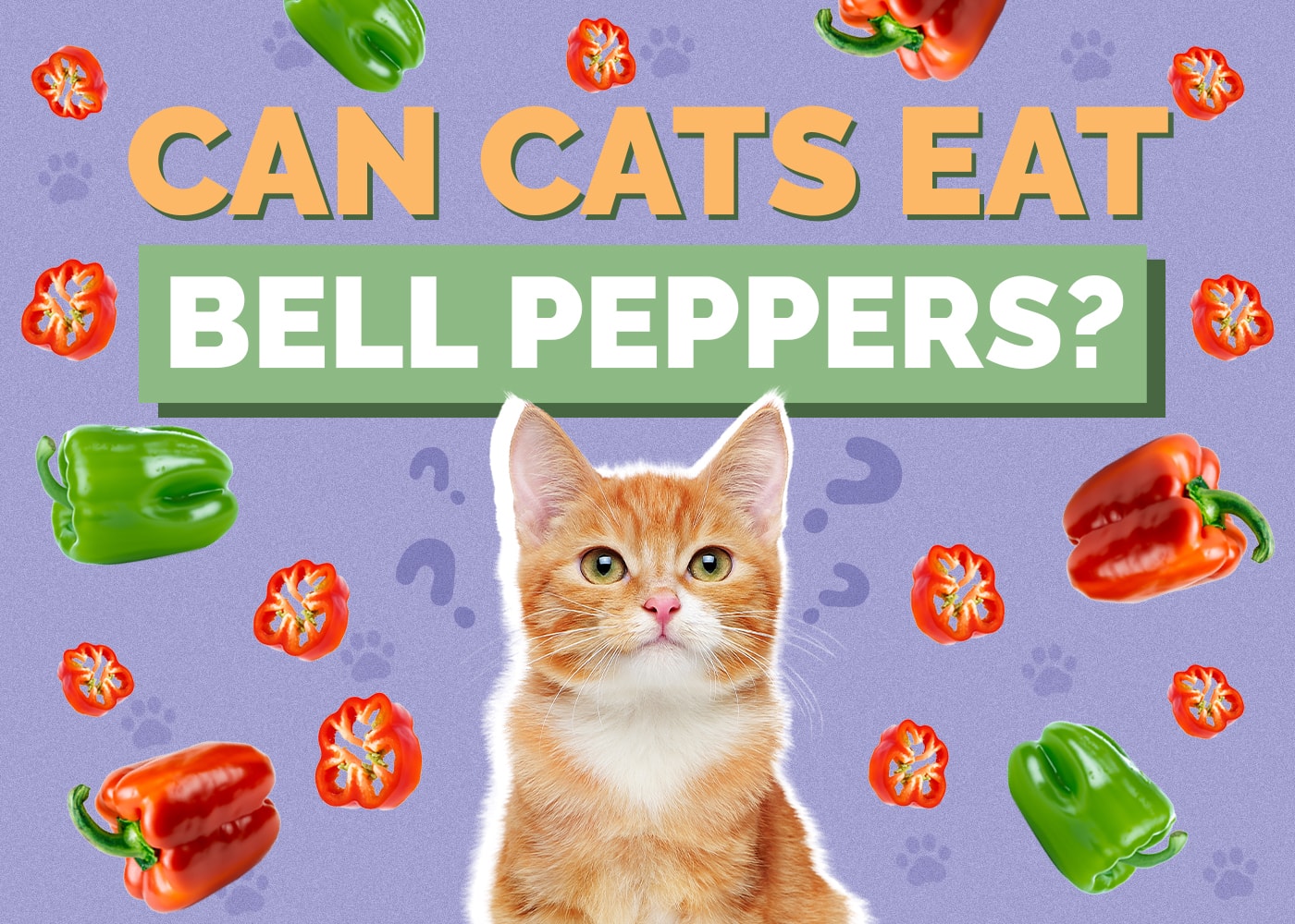 Can Cats Eat Bell Peppers? What You Need to Know!
