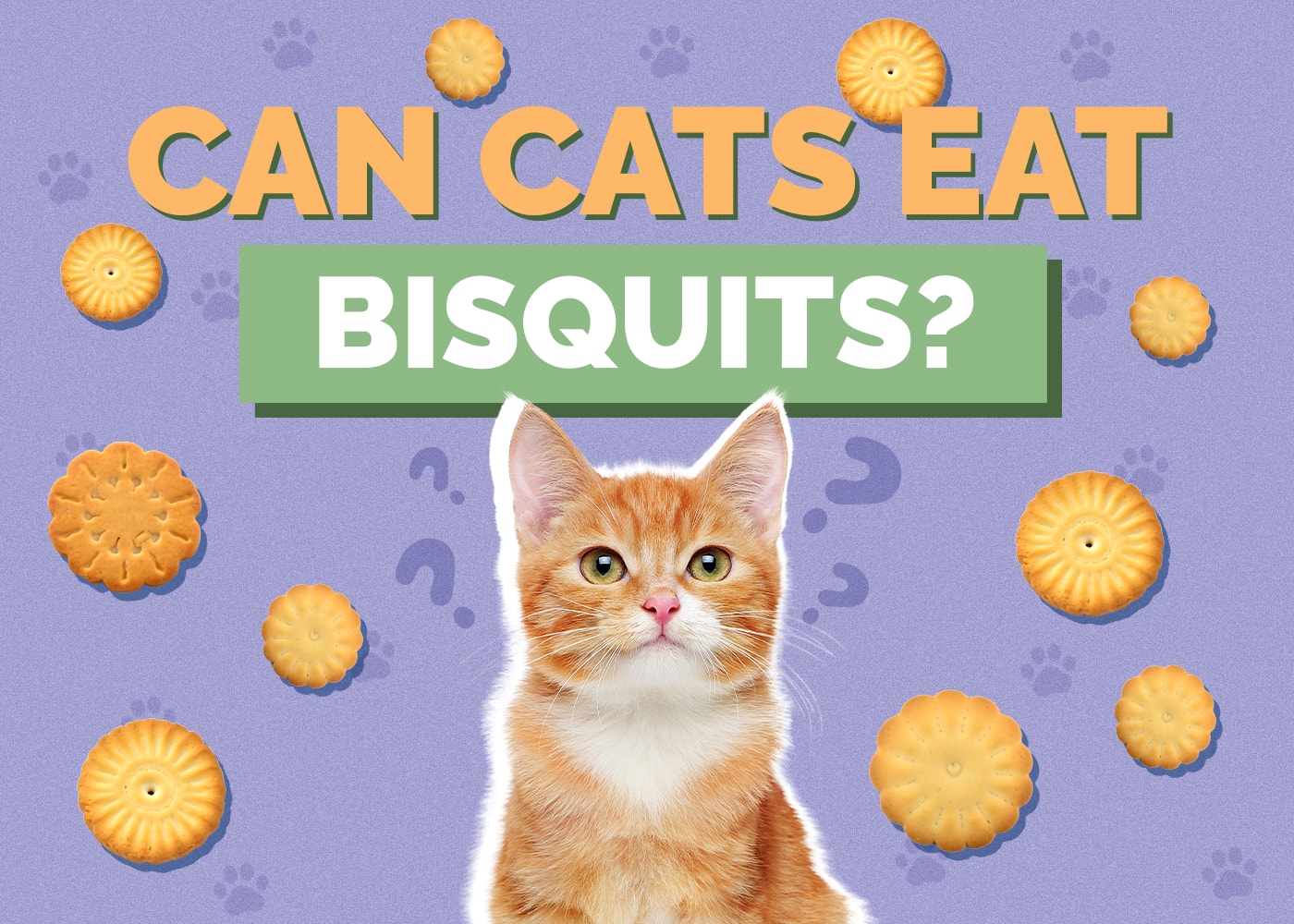 Can Cats Eat Biscuits? Vet-Reviewed Facts & FAQ