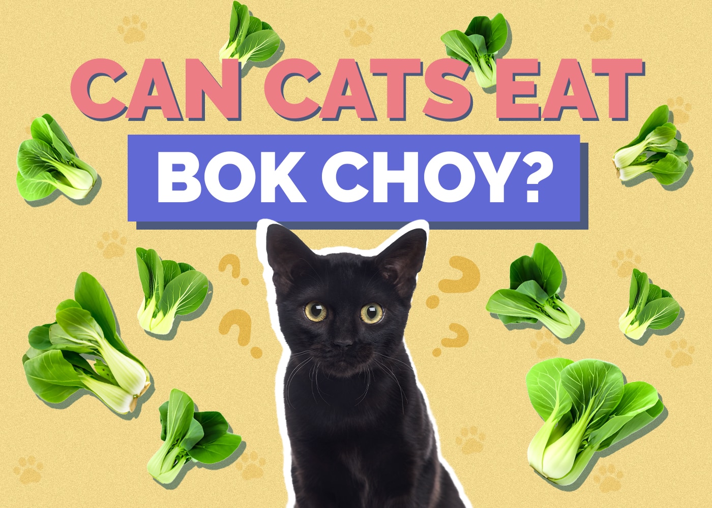 Can Cats Eat Bok Choy? Vet-Reviewed Risks & Benefits Explained