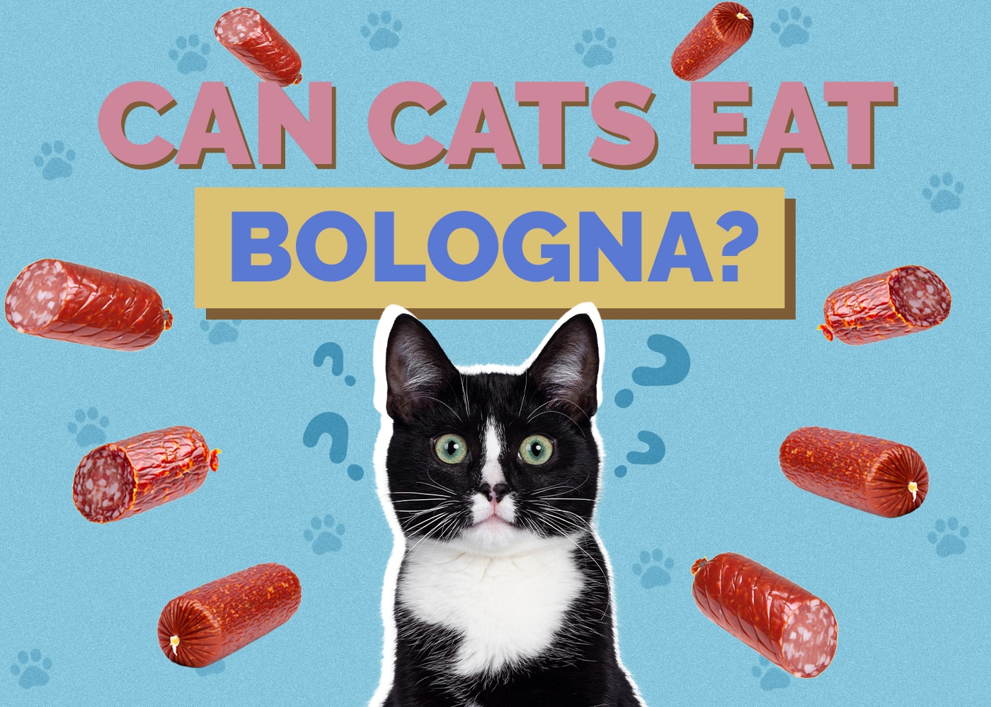 Can Cats Eat Bologna? Vet-Reviewed Health & Safety Guide