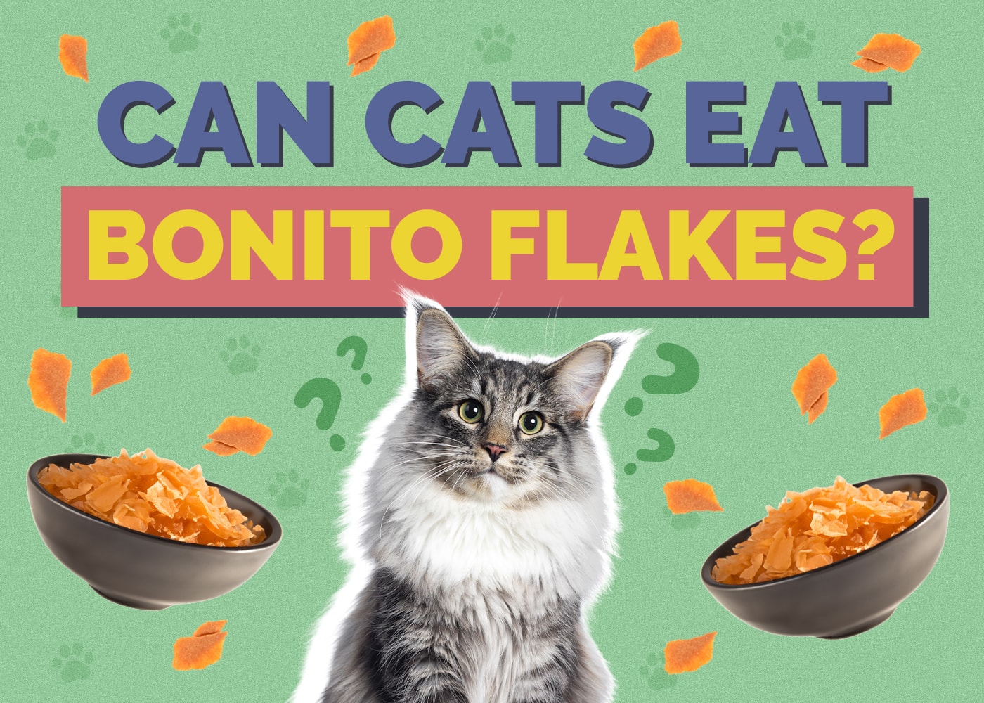 Can Cats Eat Bonito Flakes? Vet-Reviewed Facts & Important Considerations