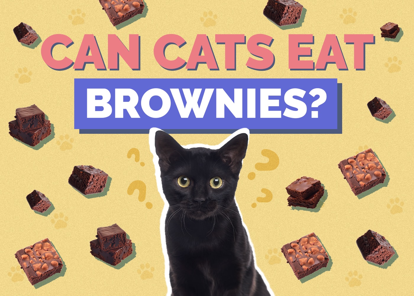 Can Cats Eat Brownies? Vet-Reviewed Nutrition Info