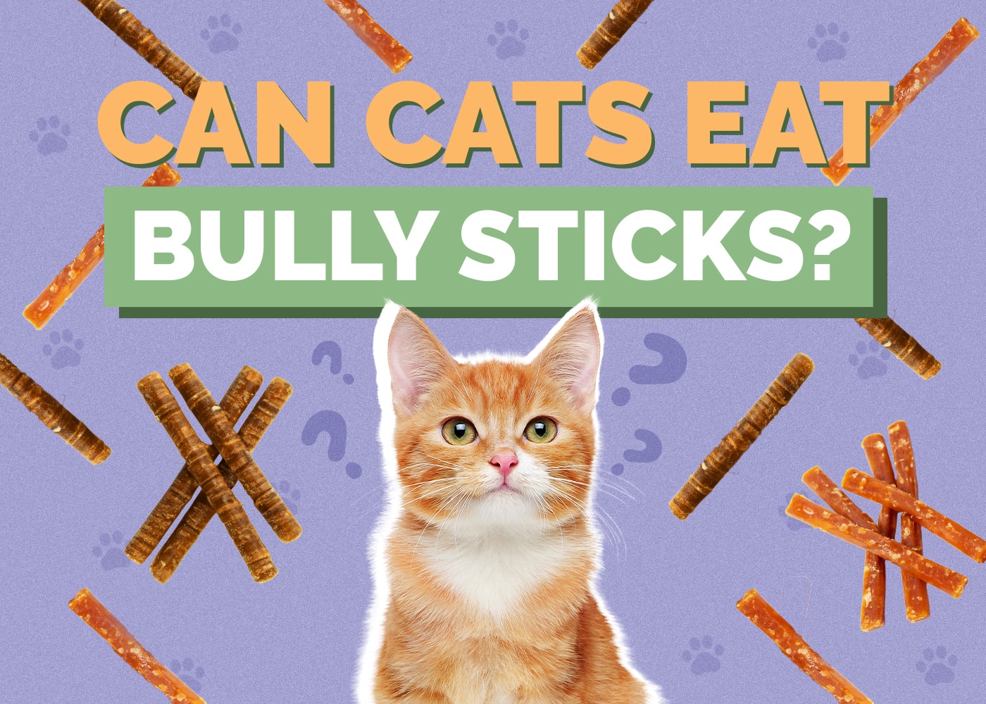 Can Cats Eat Bully Sticks? Vet-Verified Potential Health Risks