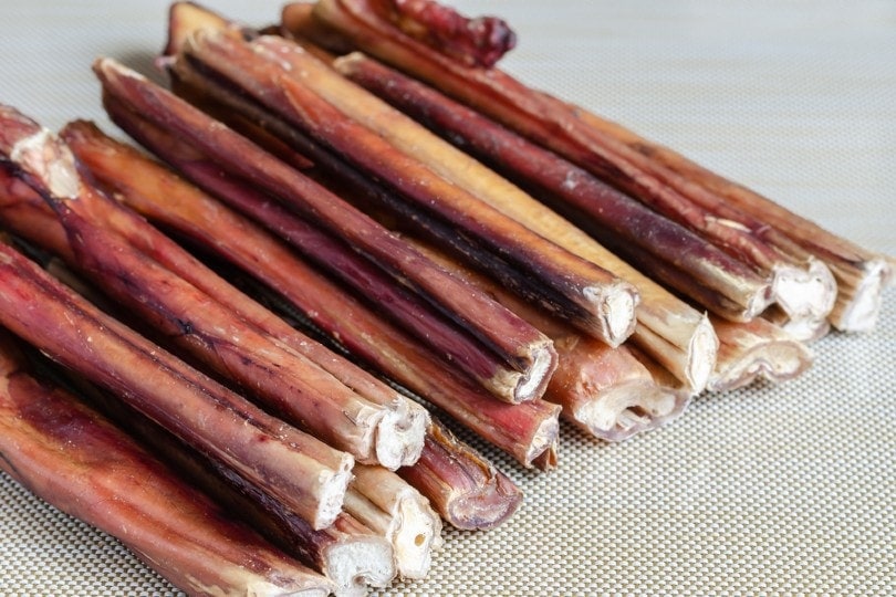 My Dog Swallowed a Bully Stick: Our Vet Explains What to Do