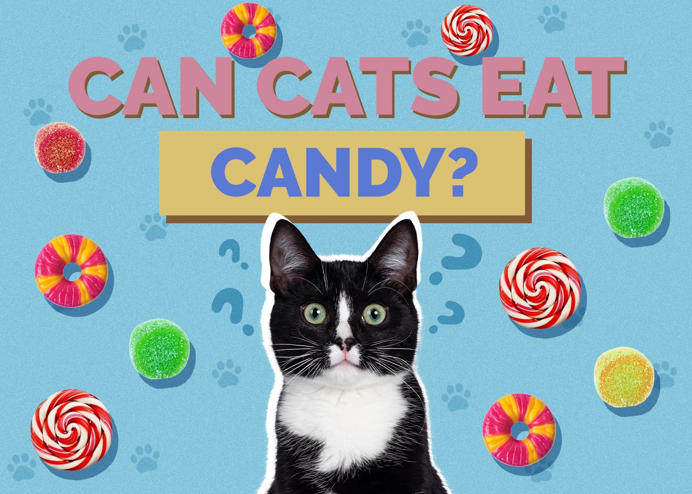 Can Cats Eat Candy? Vet-Approved Facts & FAQ