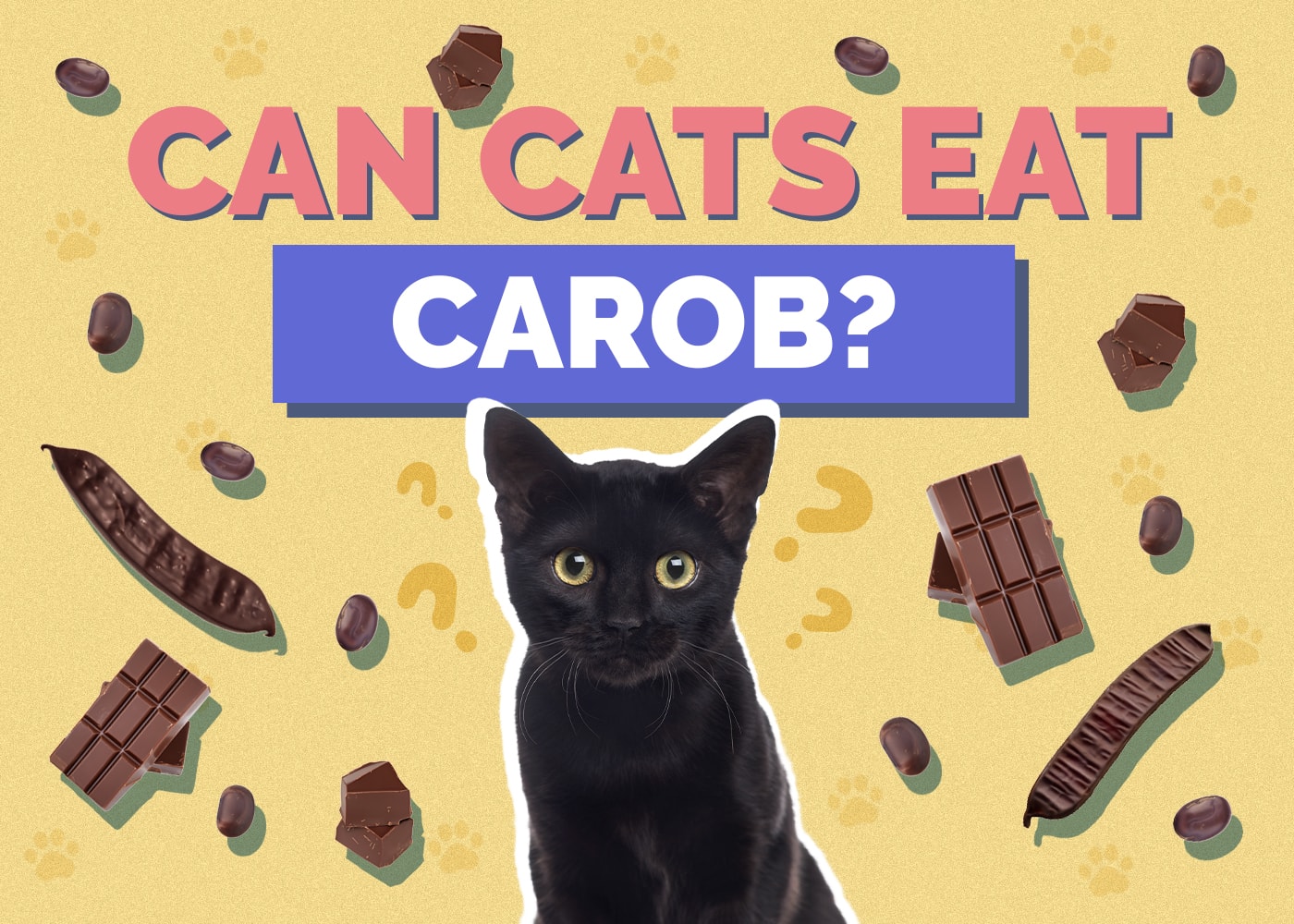 Can Cats Eat Carob Chocolate Substitute? Health & Safety Facts