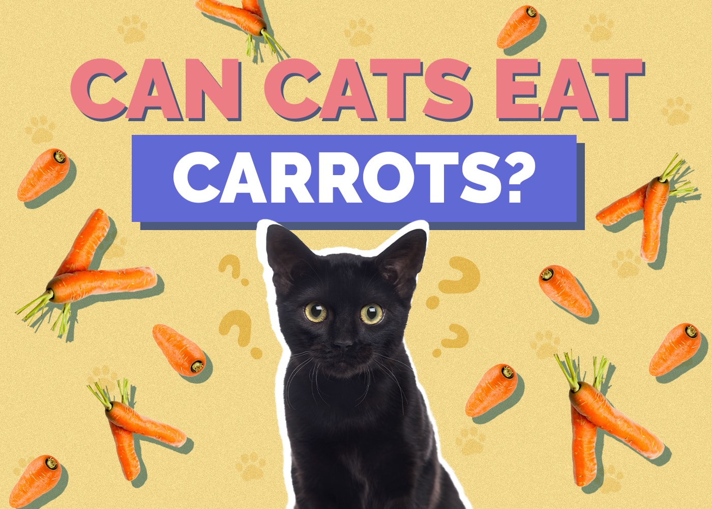 Can Cats Eat Carrots? Vet-Reviewed Benefits, Portions & Alternatives
