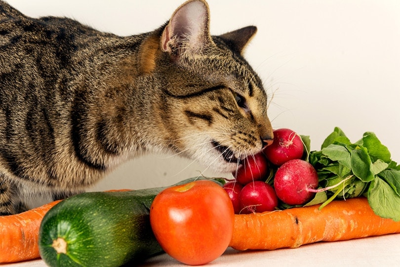 What Vegetables Can Cats Eat? Vet-Approved List & Facts