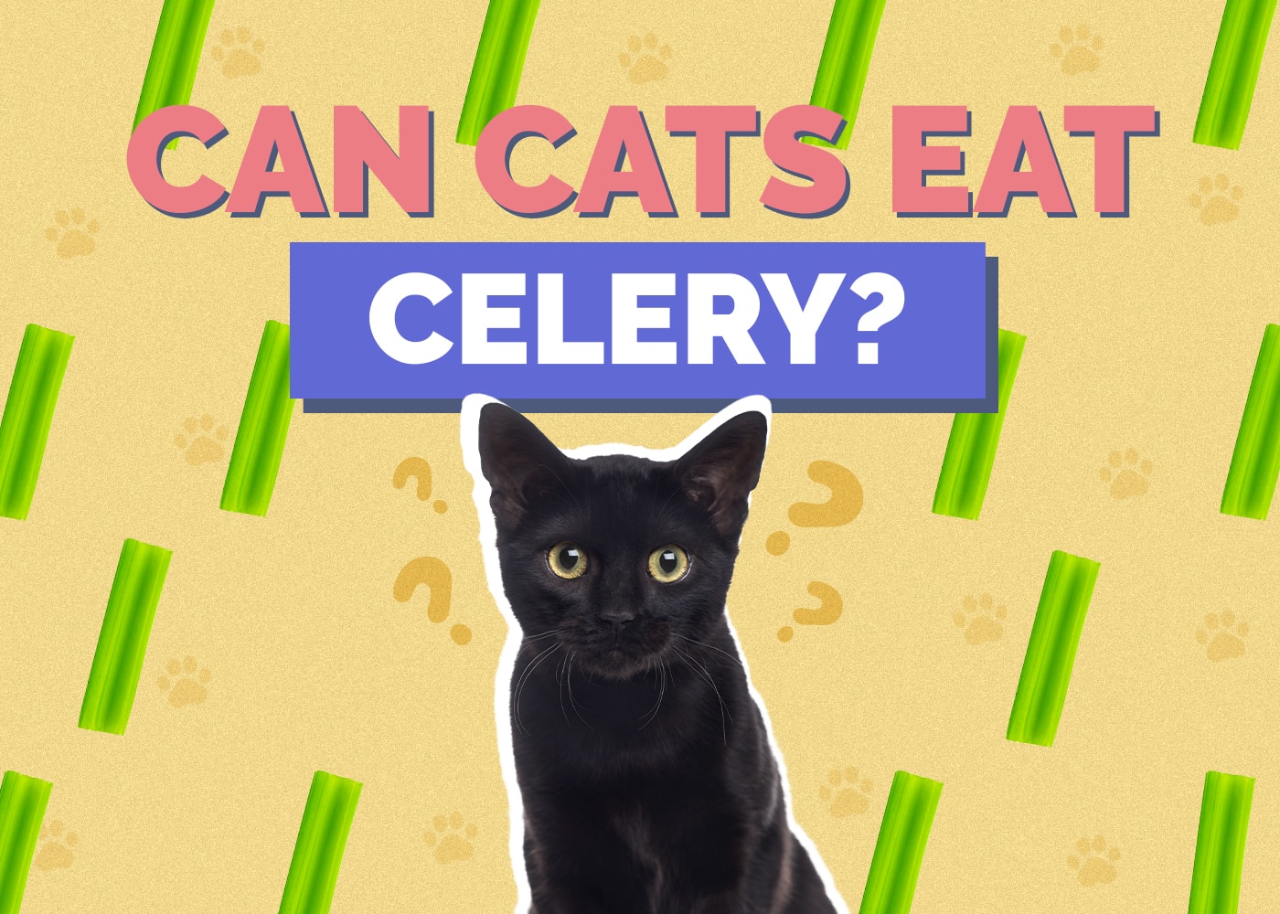 Can Cats Eat Celery? Vet-Reviewed Facts & FAQ