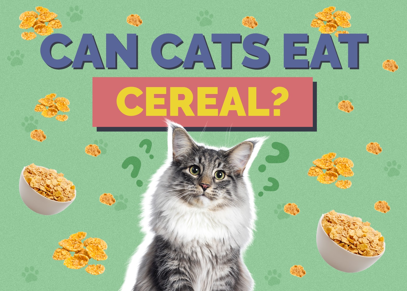 Can Cats Eat Cereal? Nutrition Facts & Potential Risks