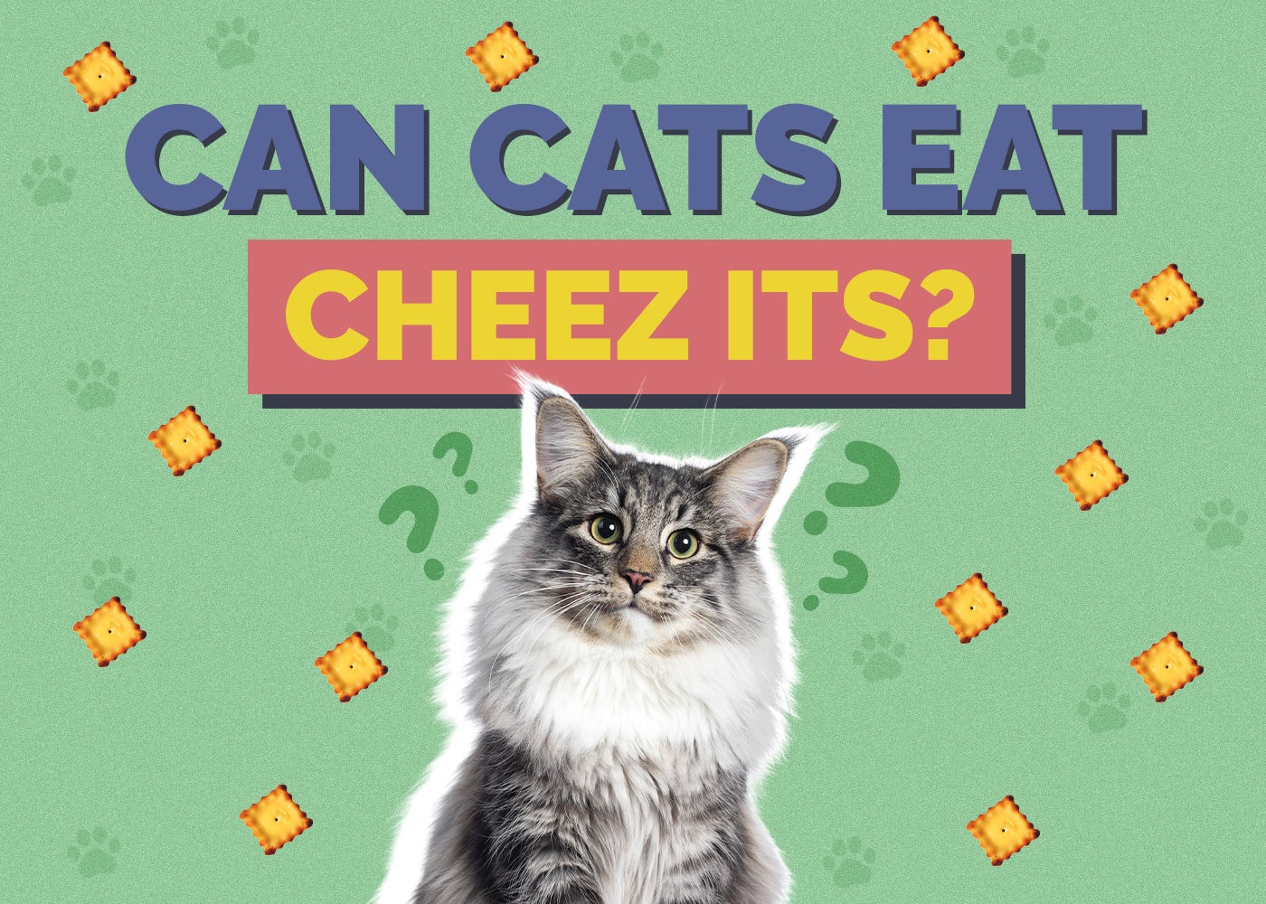 Can Cats Eat Cheez-Its? Vet Reviewed Nutritional Guide