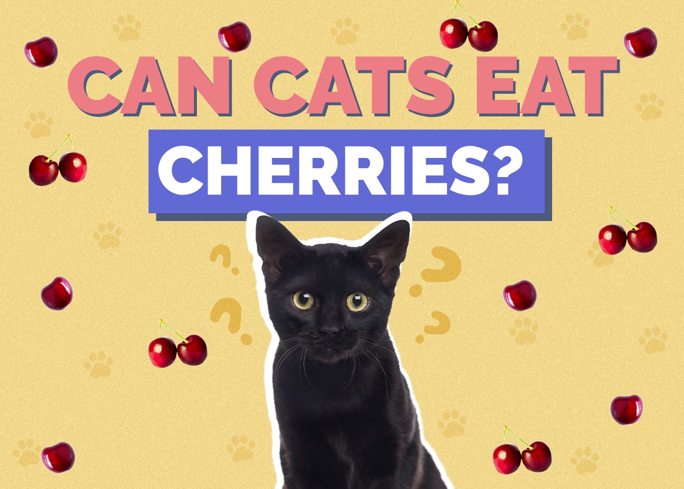 Can Cats Eat Cherries? Vet-Reviewed Nutrition Facts & FAQ