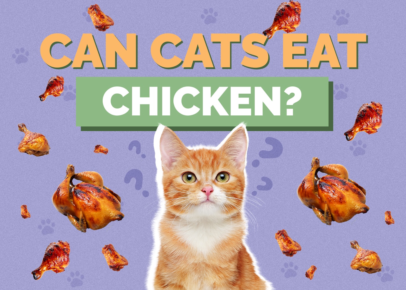 Can Cats Eat Chicken? Vet-Verified Nutrition Facts & FAQ