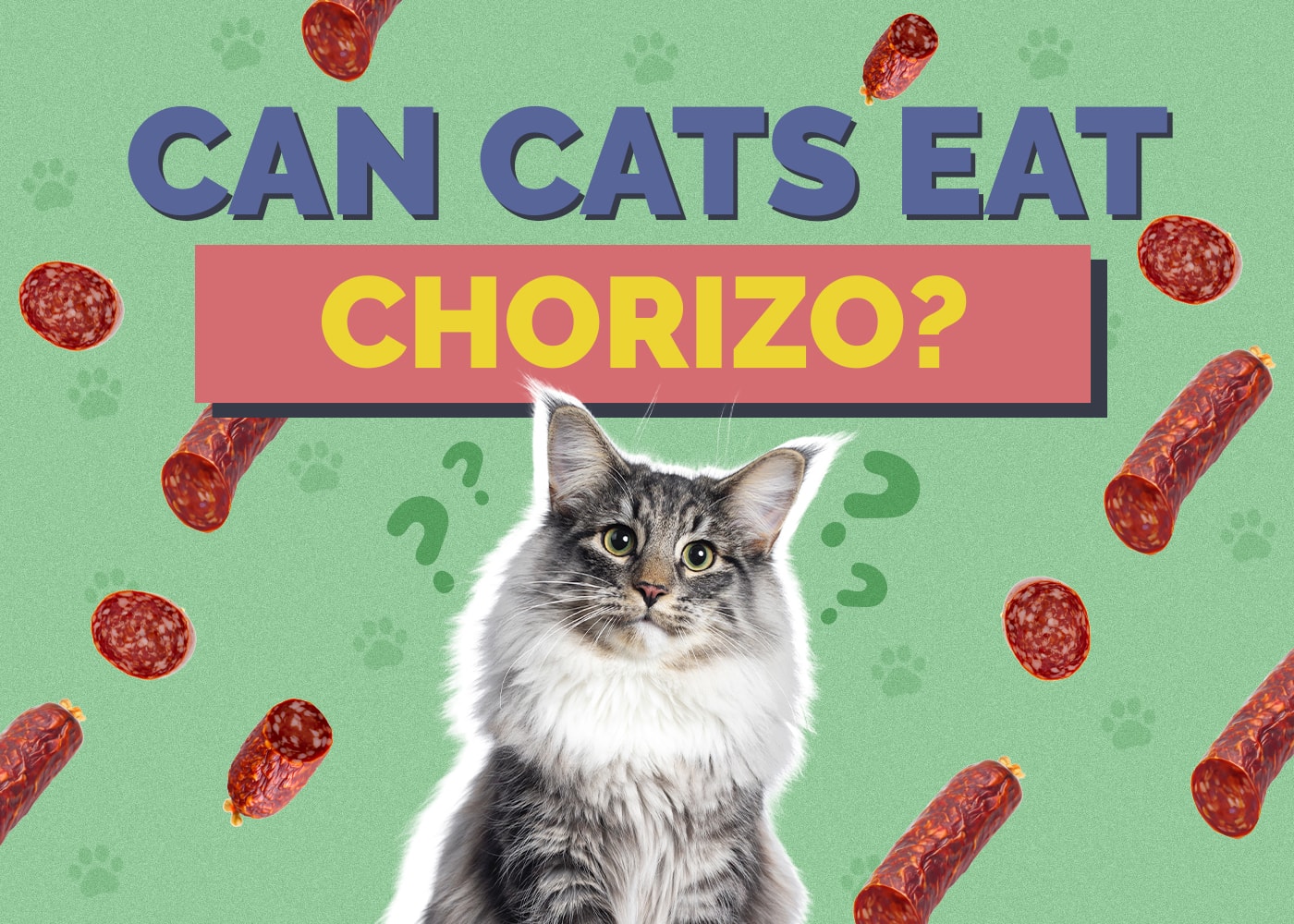 Can Cats Eat Chorizo? Vet-Reviewed Nutrition Facts & FAQ