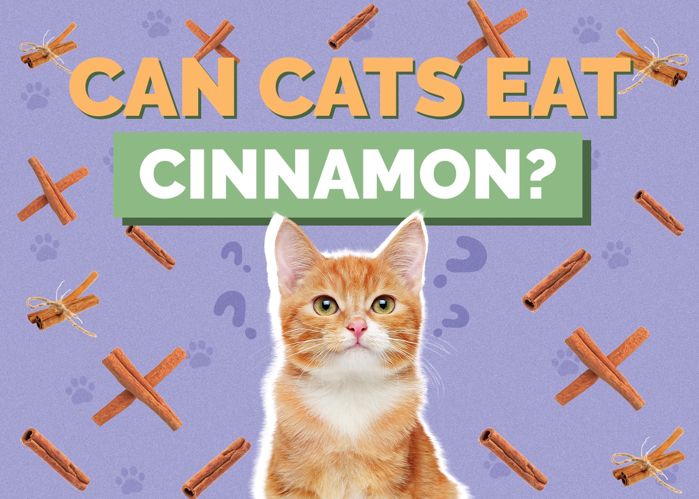 Can Cats Eat Cinnamon? Vet-Reviewed Health & Safety Guide