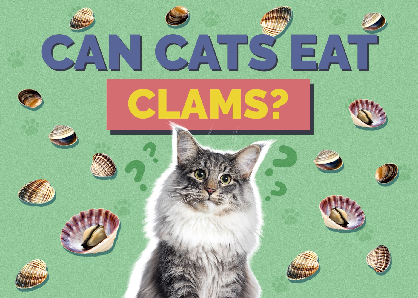 Can Cats Eat Clams? Vet Approved Health & Safety Facts