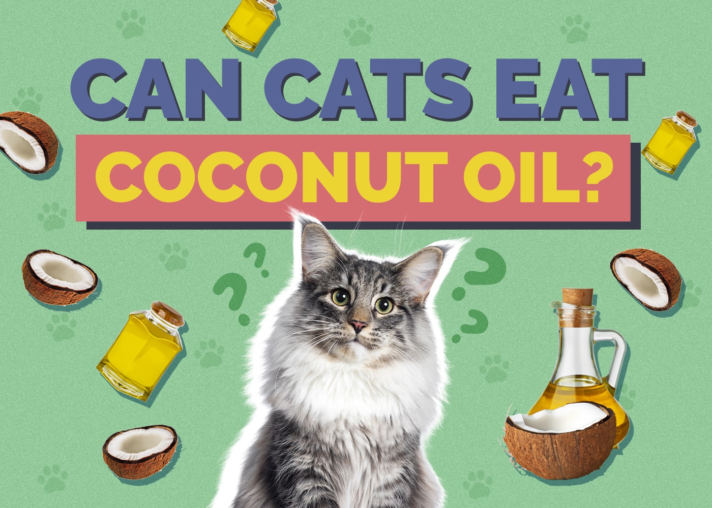 Can Cats Eat Coconut Oil? Vet-Reviewed Facts & Safety Guide
