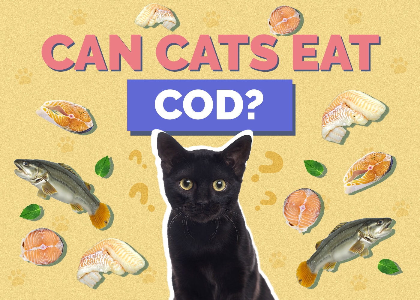 Can Cats Eat Cod? Vet-Reviewed Facts & Safety Guide