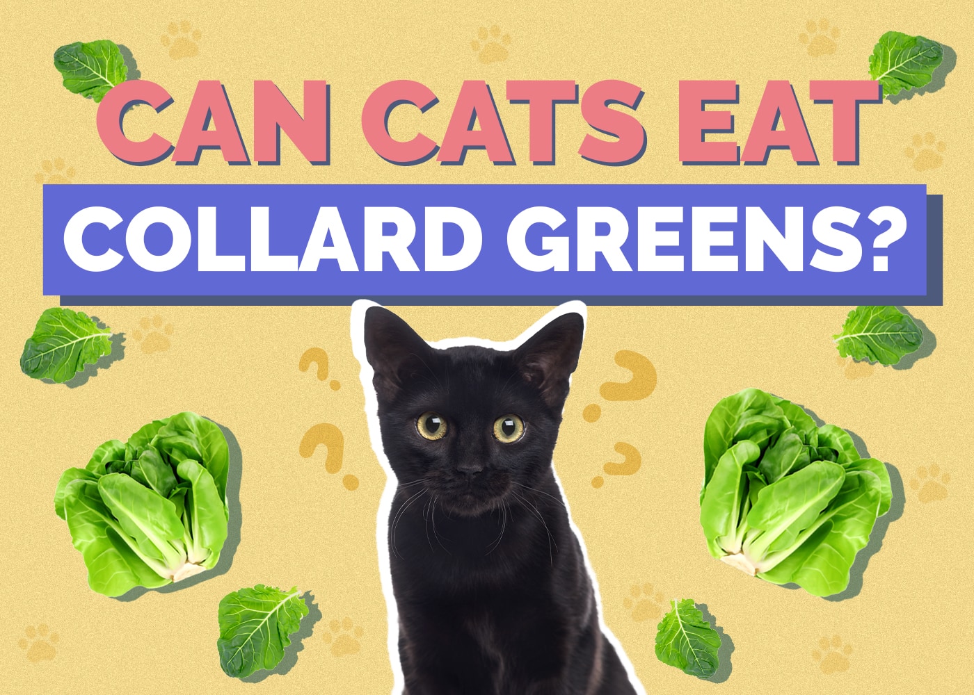 Can Cats Eat Collard Greens? Vet-Verified Facts & Info