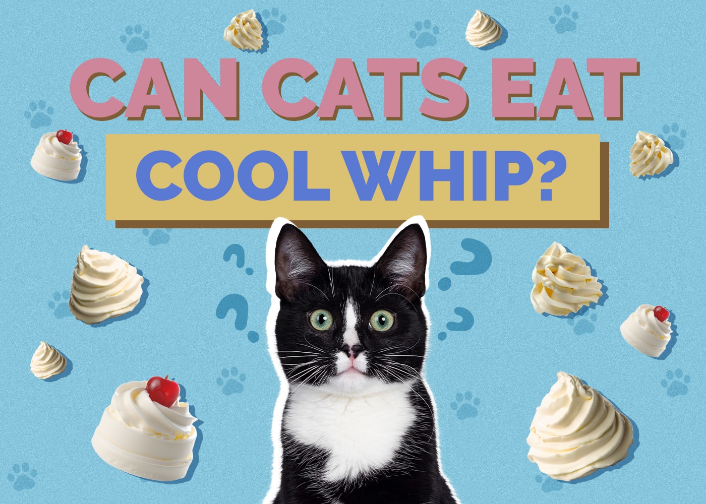Can Cats Eat Cool Whip? What You Need to Know!
