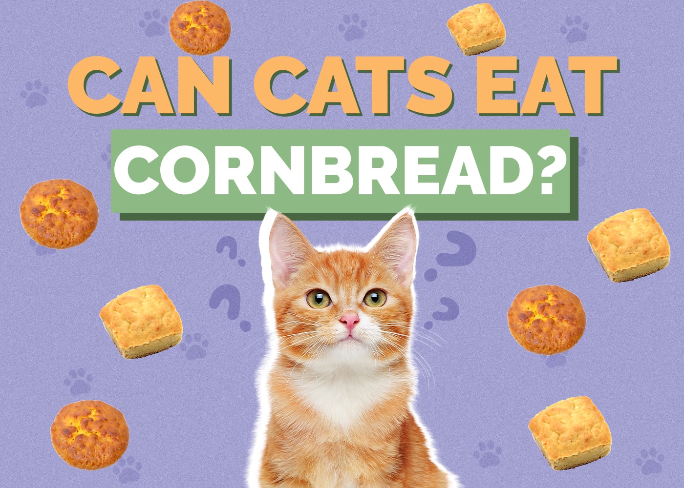 Can Cats Eat Cornbread? Vet-Reviewed Nutritional Info & Safety