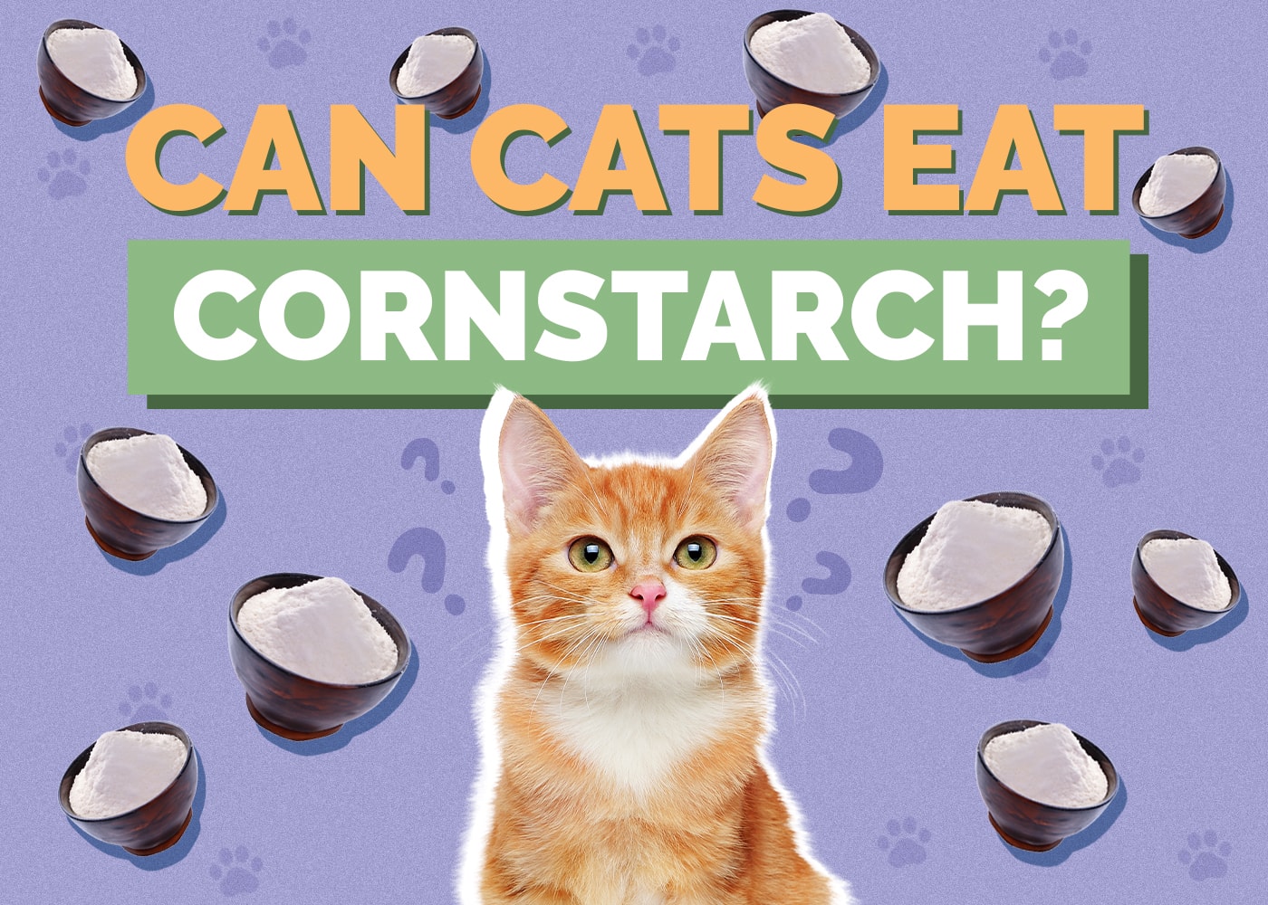 Can Cats Eat Cornstarch? Vet-Reviewed Nutritional Health & Safety Guide