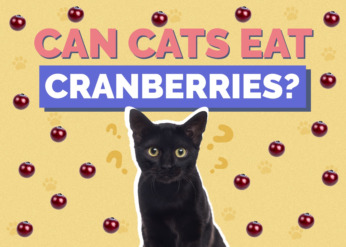 Can Cats Eat Cranberries? Vet-Reviewed Facts