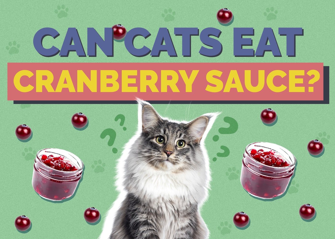 Can Cats Eat Cranberry Sauce? Health & Nutrition Facts